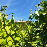 IMG_20250904_114137