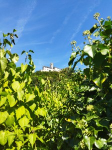 IMG_20250904_114137
