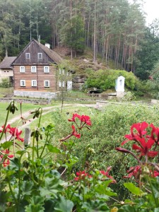 IMG_20250905_140652