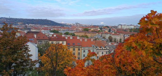 IMG-20251016-WA0064