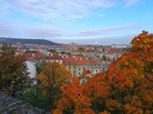 IMG-20251016-WA0064